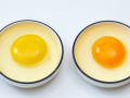 黄天鹅鸡蛋与土鸡蛋有什么区别 黄天鹅鸡蛋健康吗