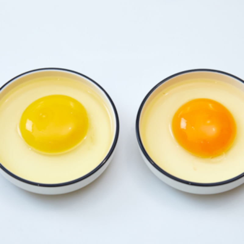 黄天鹅鸡蛋与土鸡蛋有什么区别